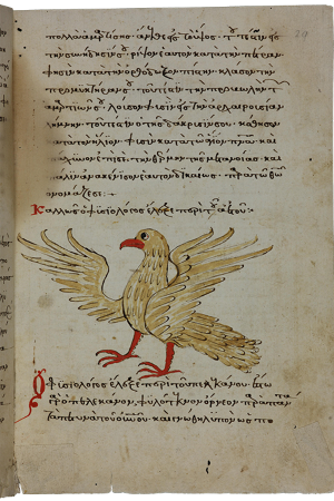 Digitalisat einer griechischen Handschrift mit roten Initialen und der Illustration eines Adlers mit gespreizten Flügeln