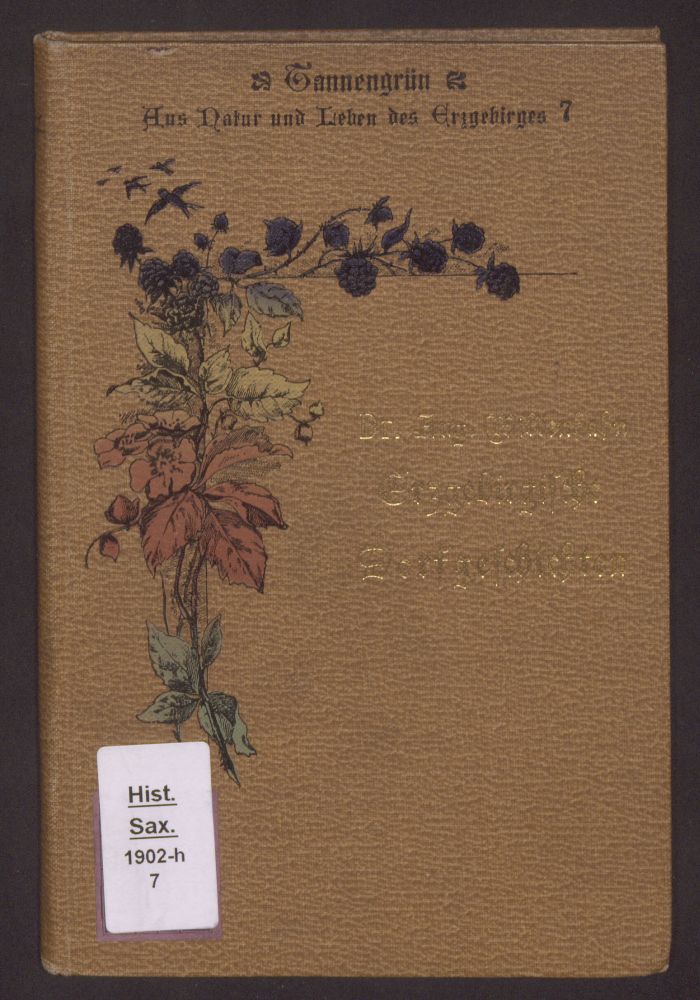Foto eines beige-braunen Buchumschlags mit Mauerseglern über einer Himbeerranke und dem goldgravierten Titel: Dr. Aug. Wildenhahn, Erzgebirgische Dorfgeschichten