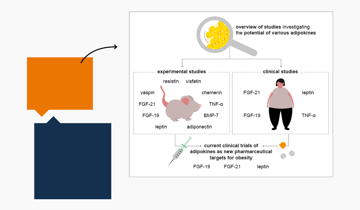 Graphical Abstract nach inhaltlicher Zuarbeit und Gespräch